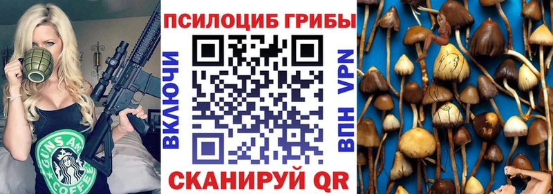 Галлюциногенные грибы мицелий  Кириллов 